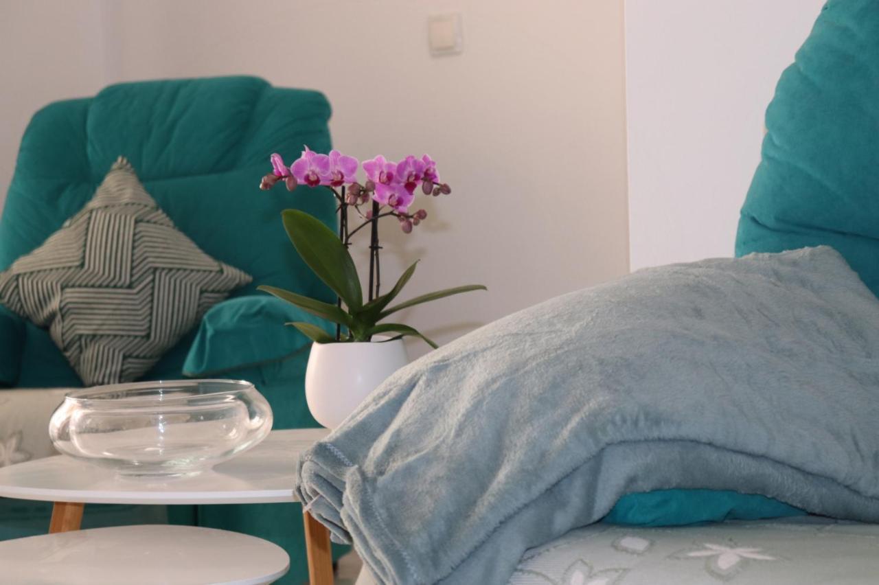 - 3 Appartement